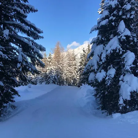 Lejlighed Grenzberg - Bad Gastein