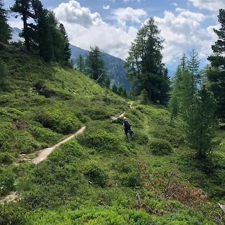 Grenzberg - Lejlighed Bad Gastein