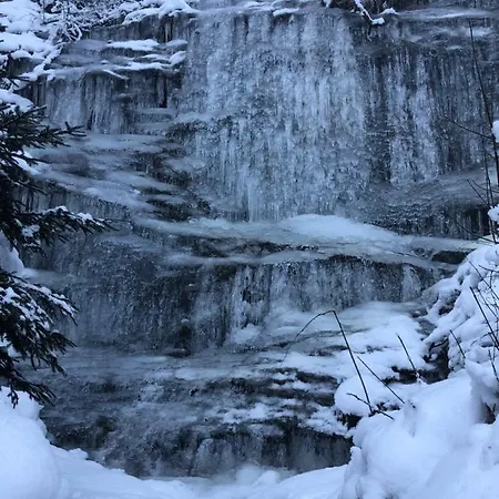 Grenzberg - Lejlighed