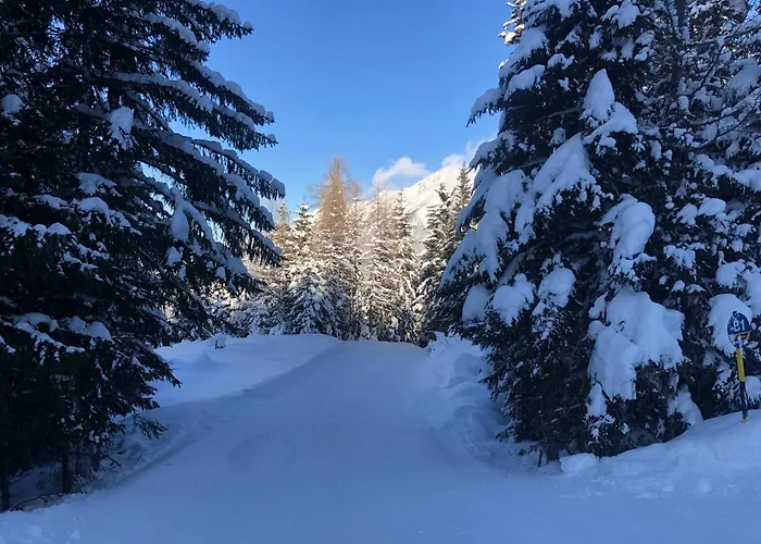 Daire Grenzberg - Bad Gastein